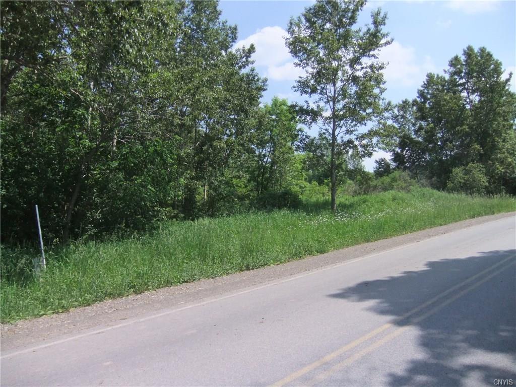 Lot 24 Fearon Road, Smithfield, NY 13408