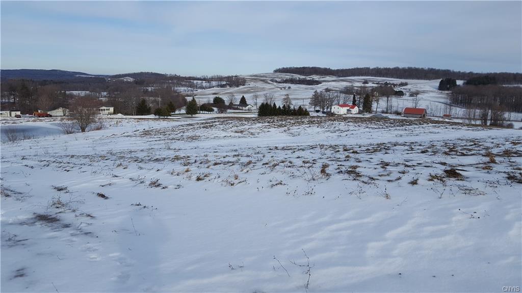 Lot 5 Hoffman Road, Nelson, NY 13408
