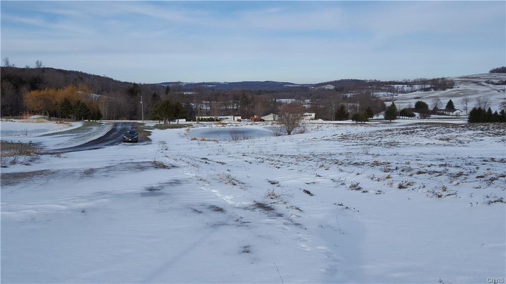 Lot 5 Hoffman Road, Nelson, NY 13408
