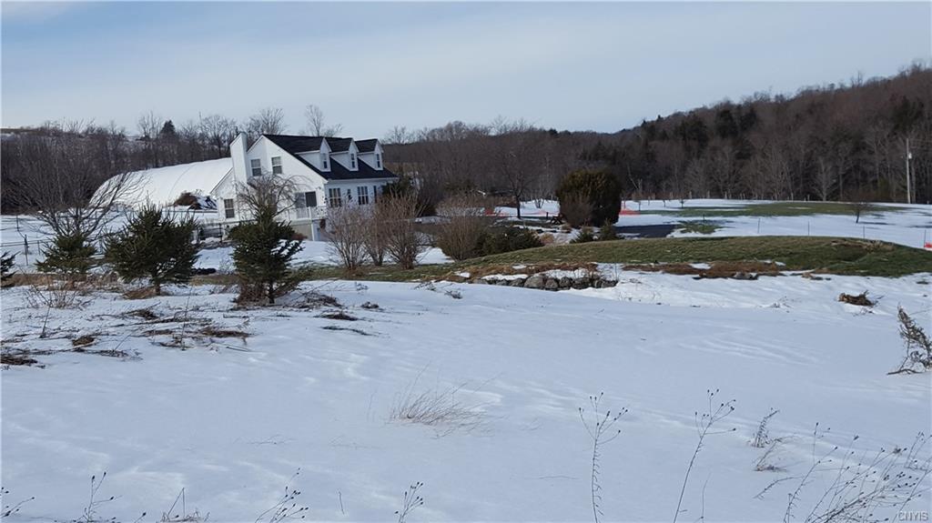Lot 5 Hoffman Road, Nelson, NY 13408