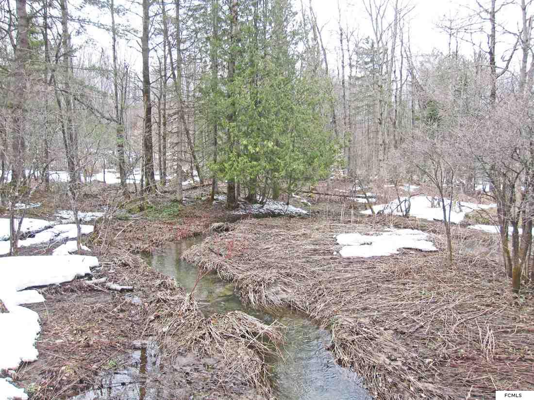 Dairy Hill Rd, Norway, NY 13416