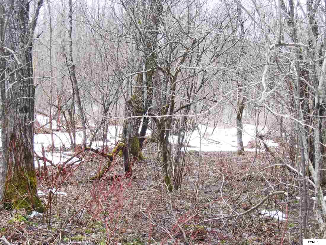 Dairy Hill Rd, Norway, NY 13416