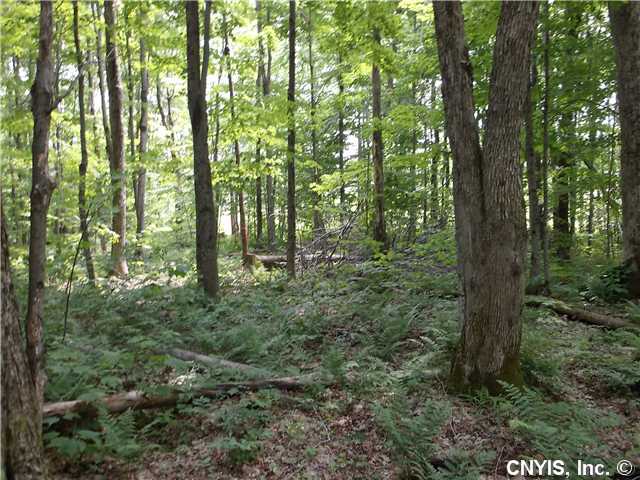 04 Beecherville Road, Orwell, NY 13426