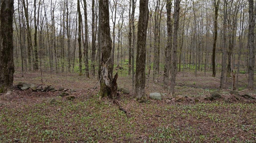0 Co Rt 50, Orwell, NY 13426