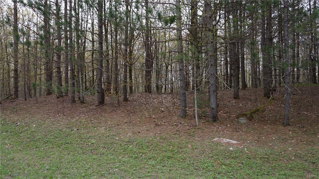 0 Co Rt 50, Orwell, NY 13426