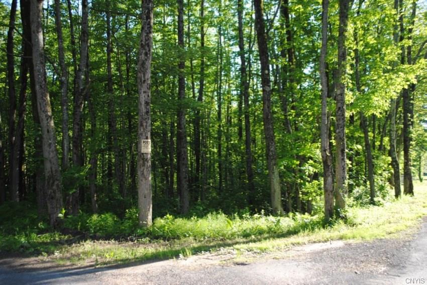 0 Wooliver Road, Orwell, NY 13426