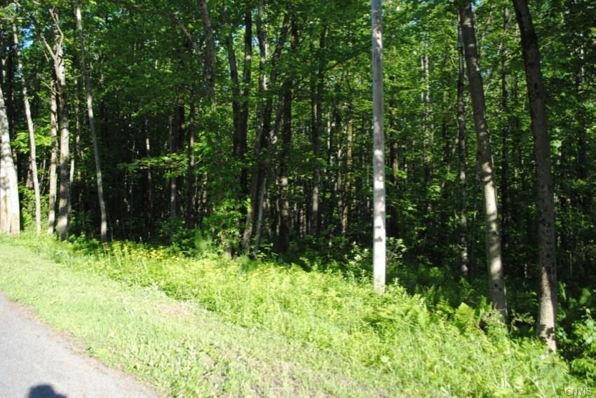 0 Wooliver Road, Orwell, NY 13426