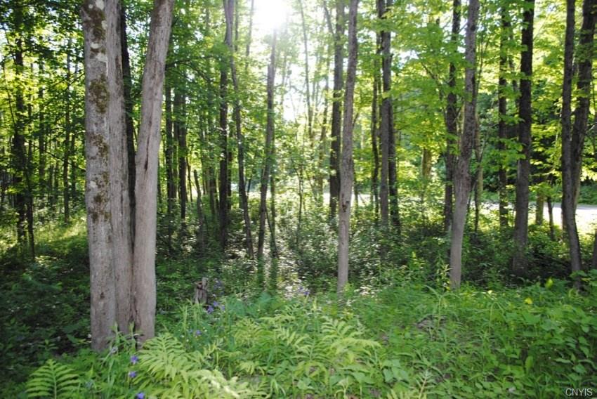 0 Wooliver Road, Orwell, NY 13426