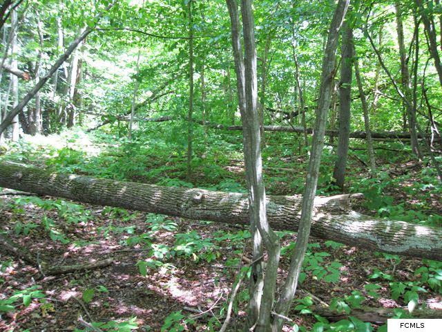 Old State Rd, Newport, NY 13431