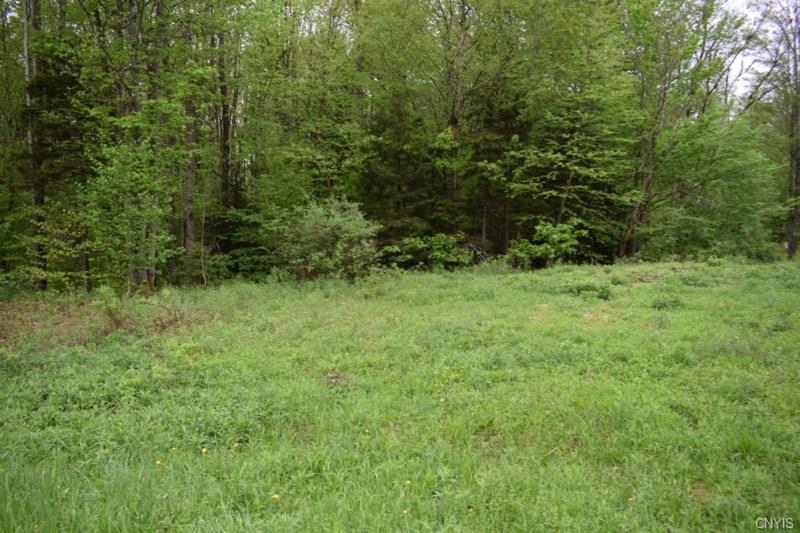 0 McCaw Road, Redfield, NY 13437