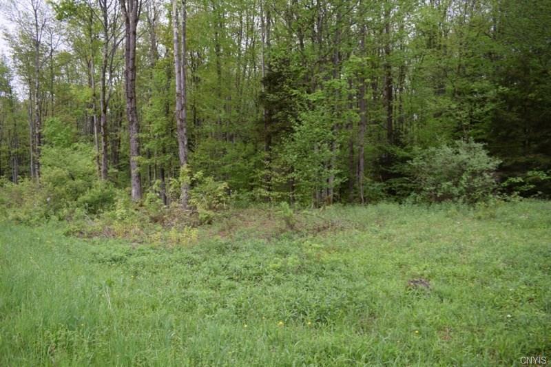 0 McCaw Road, Redfield, NY 13437