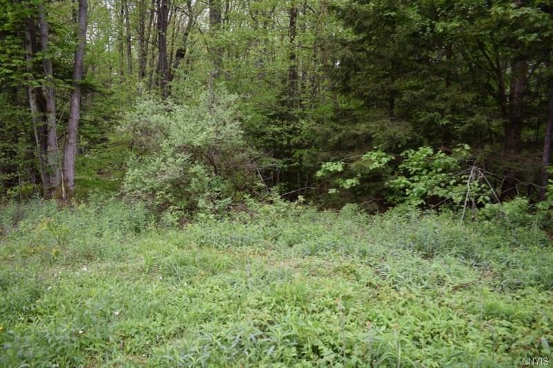 0 McCaw Road, Redfield, NY 13437