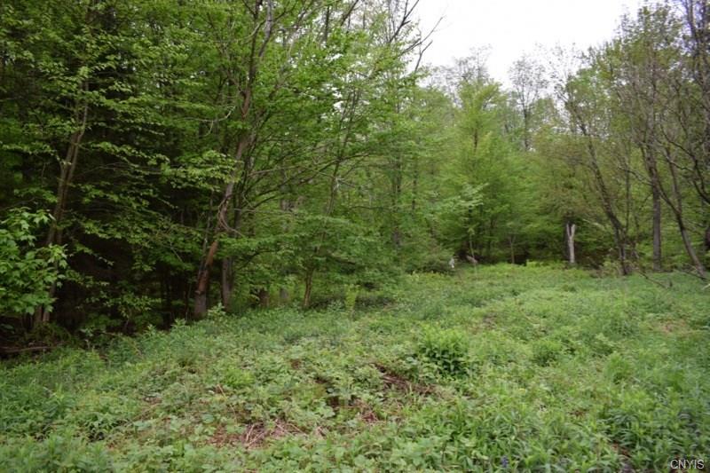 0 McCaw Road, Redfield, NY 13437