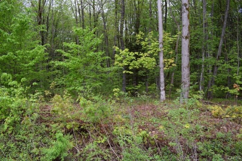 0 McCaw Road, Redfield, NY 13437