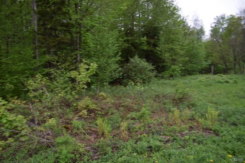 0 McCaw Road, Redfield, NY 13437