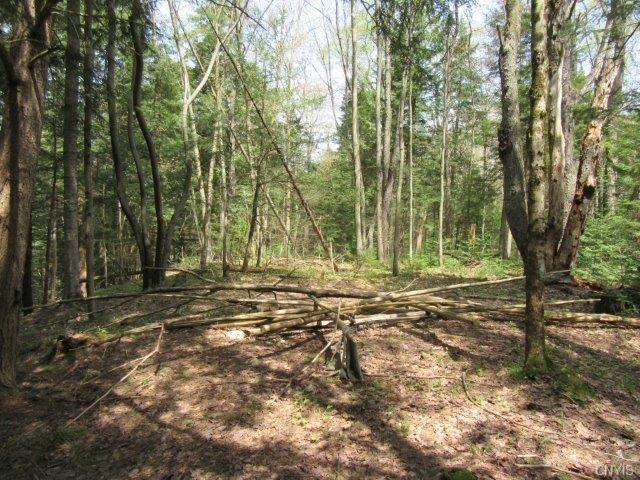 00 Wheelertown Road, Remsen, NY 13438
