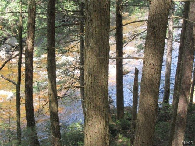 00 Wheelertown Road, Remsen, NY 13438