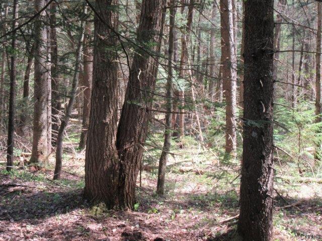00 Wheelertown Road, Remsen, NY 13438