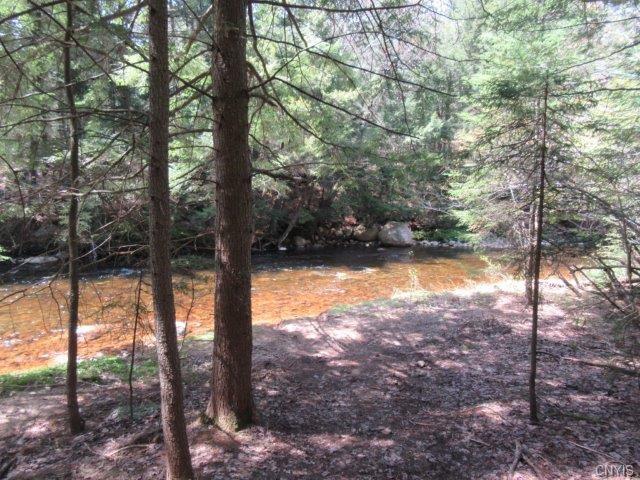 00 Wheelertown Road, Remsen, NY 13438