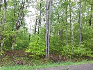 2.2 AC Dairy Hill Rd.,, Salisbury, NY 13454