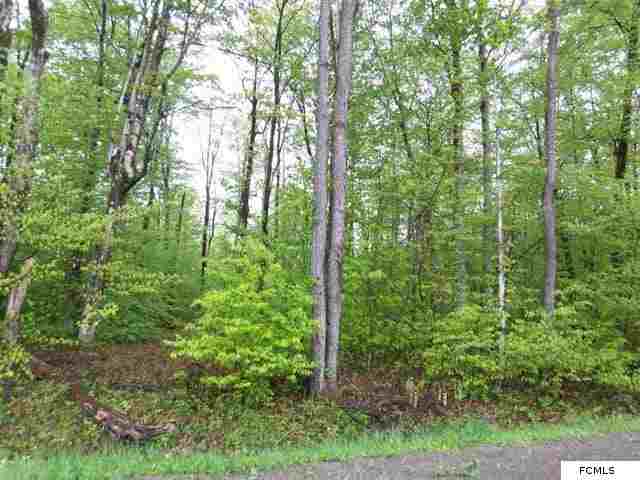 2.2AC Dairy Hill Rd, Salisbury, NY 13454