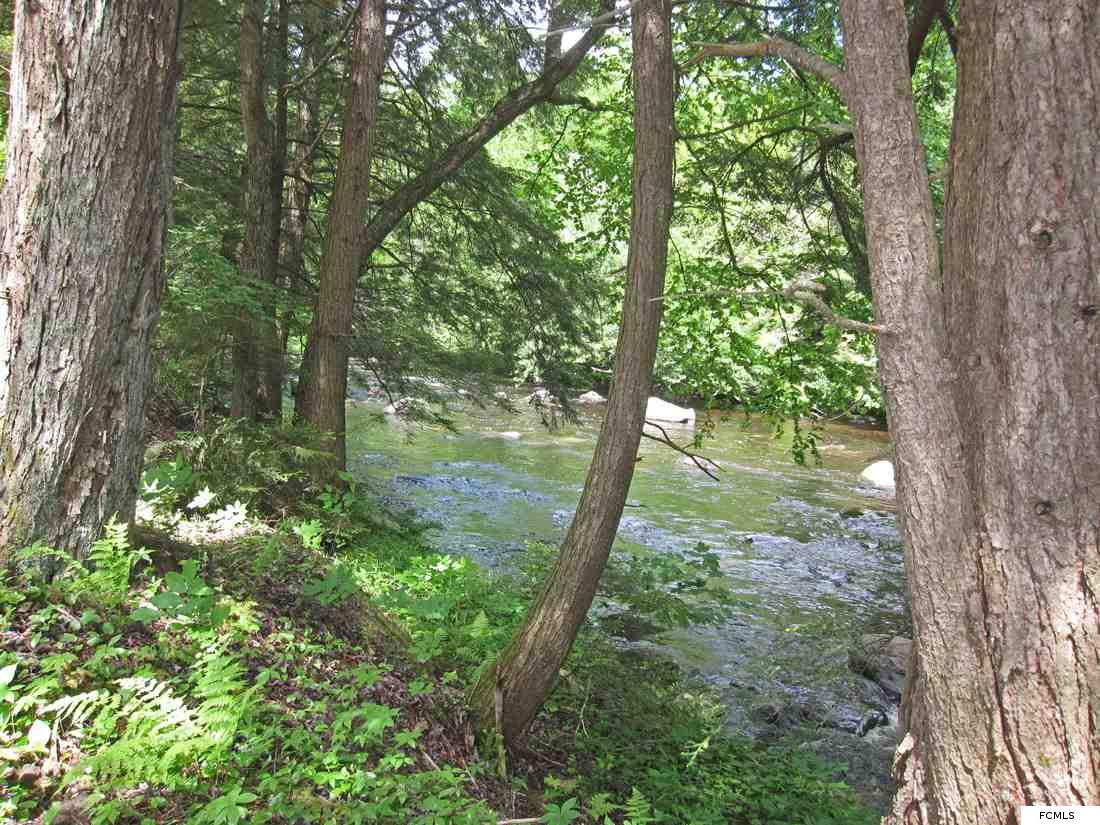 10 Goldmine Rd, Salisbury Center, NY 13454