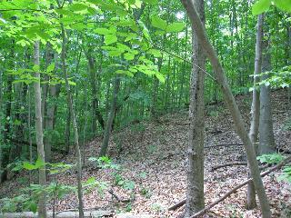 5.1 Acres Rice Road,, Salisbury, NY 13454