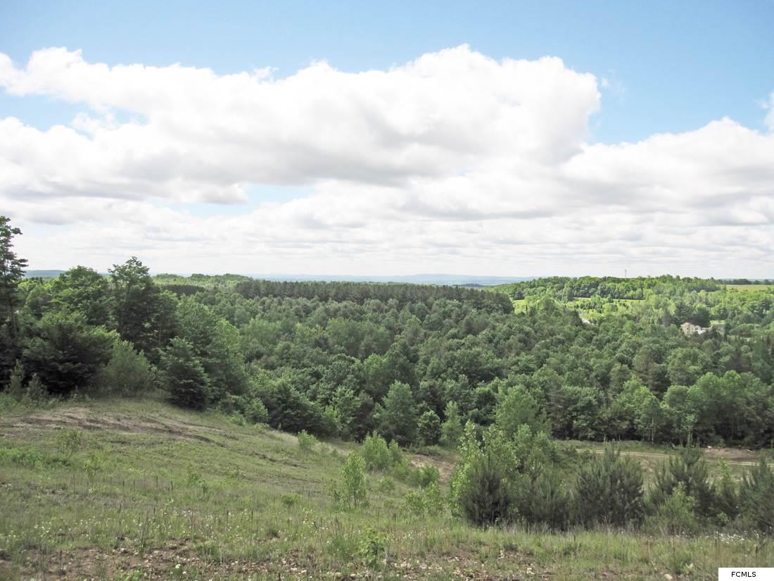 Lot 6 Goldmine Rd, Salisbury Center, NY 13454