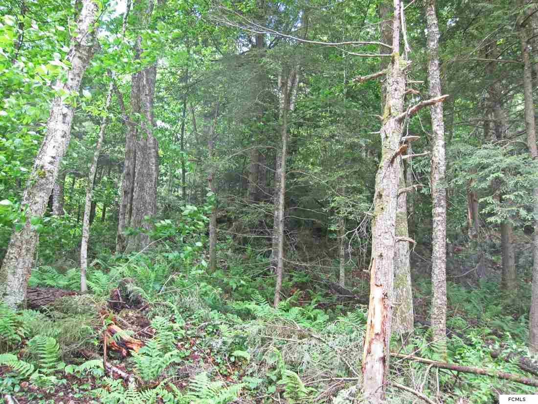 Lot 2 Goldmine Rd, Salisbury, NY 13454