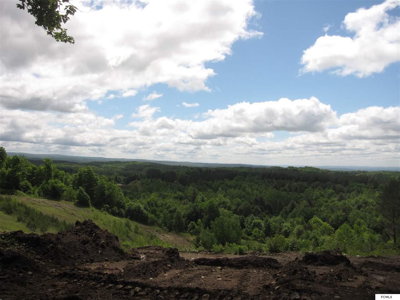 lot 5 Goldmine Rd, Salisbury Center, NY 13454