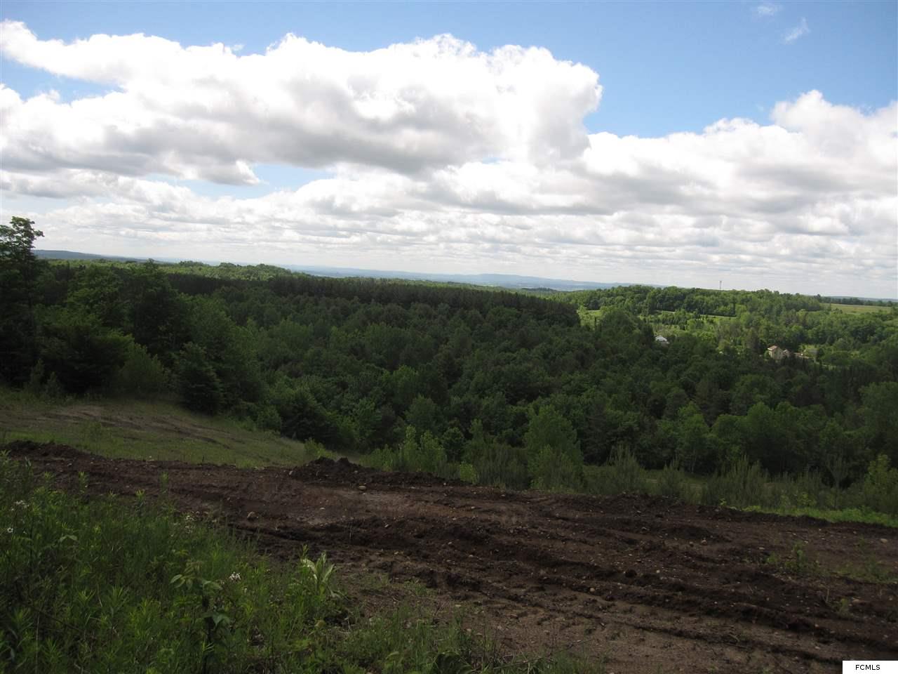lot 5 Goldmine Rd, Salisbury Center, NY 13454