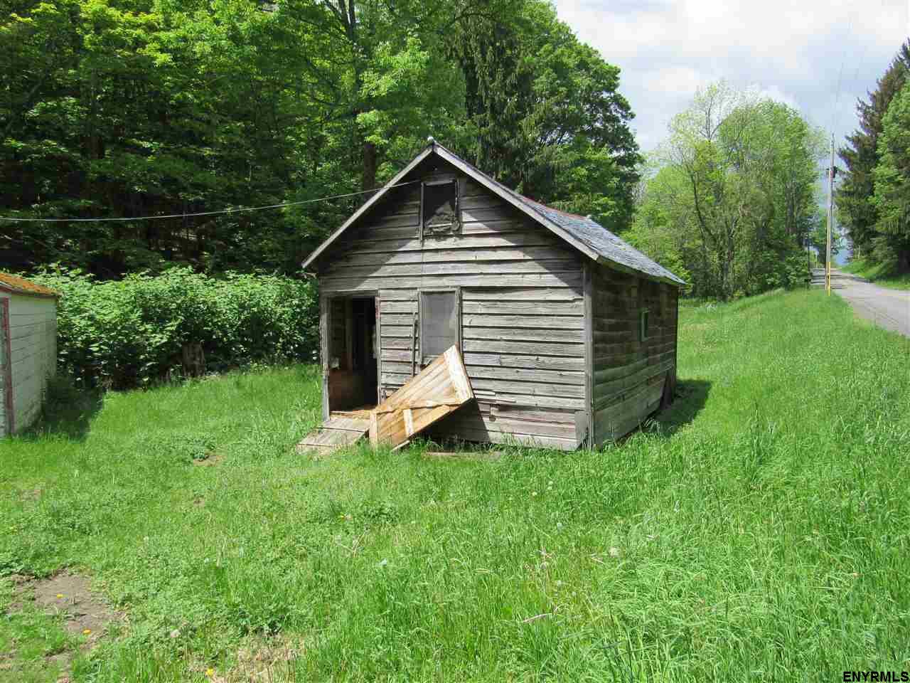 598 CHESTNUT ST, Sharon Spr, NY 13459