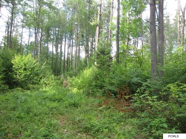 Co Hwy 119, Stratford, NY 13470
