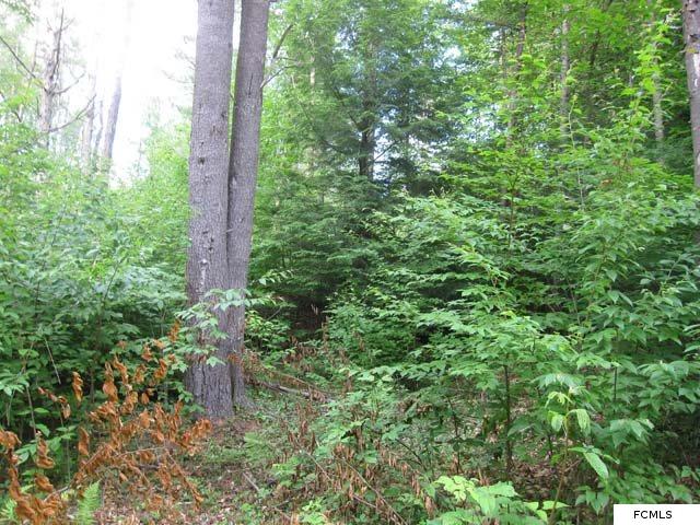 Co Hwy 119, Stratford, NY 13470