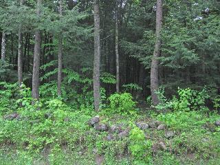 14 Acres Voorhees Road,, Stratford, NY 13470