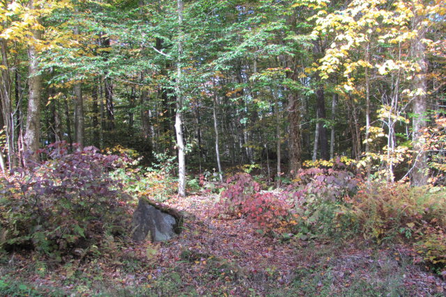 0 Okara Road East, Thendara, NY 13472