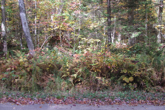 0 Okara Road East, Thendara, NY 13472