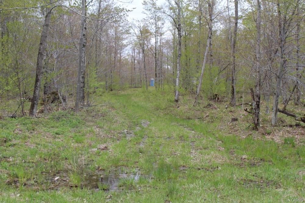 Off Steelhead Lane, Williamstown, NY 13493
