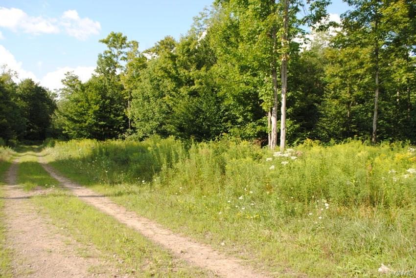 Off Steelhead Lane, Williamstown, NY 13493
