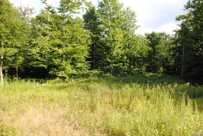 Off Steelhead Lane, Williamstown, NY 13493