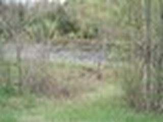 Talcville Rd, Edwards, NY 13635