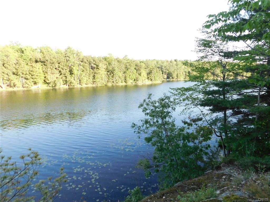 0 Grass Lake, Hammond, NY 13646