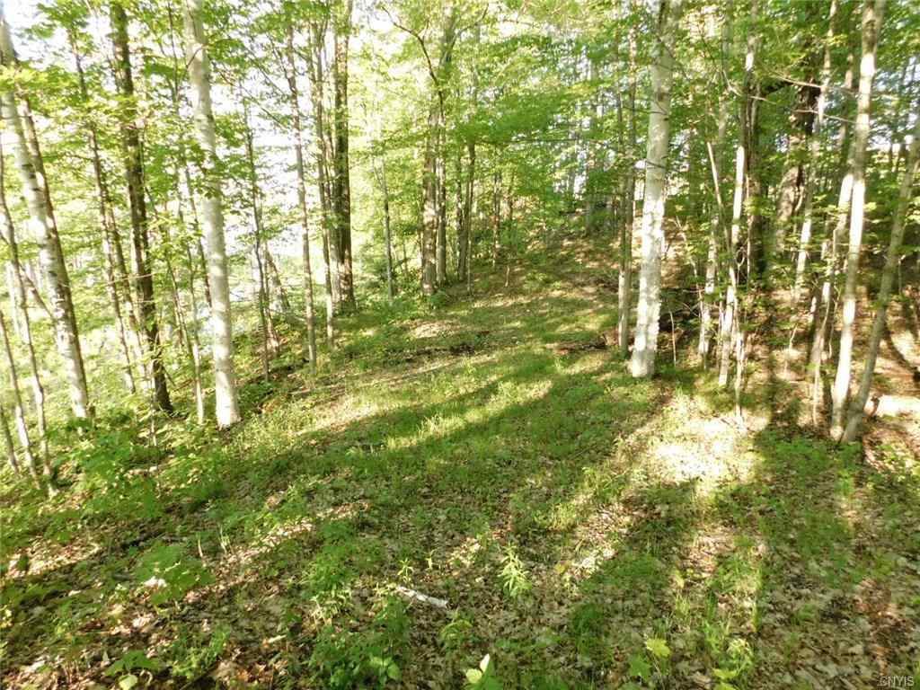 0 Grass Lake, Hammond, NY 13646