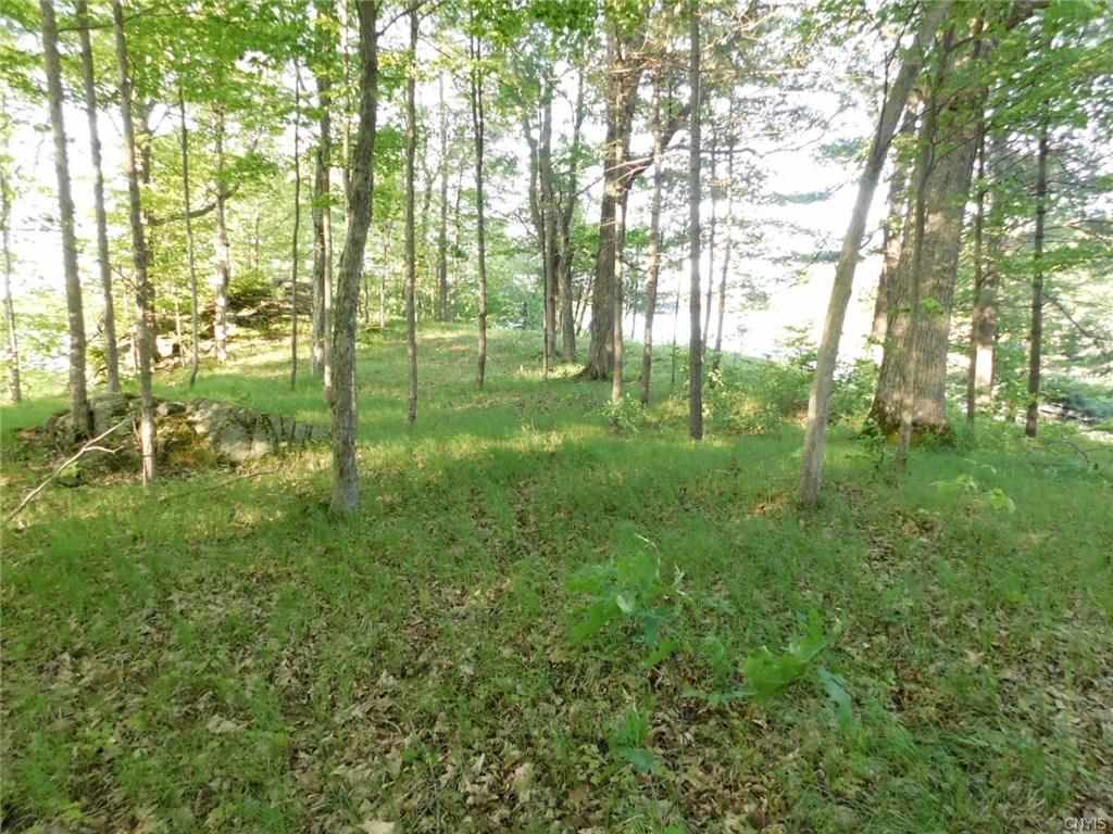 0 Grass Lake, Hammond, NY 13646