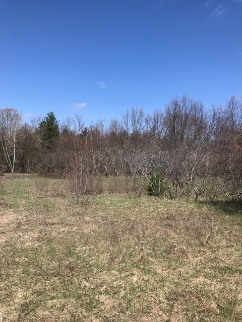 000 Trippanyville Rd, Norfolk, NY 13667