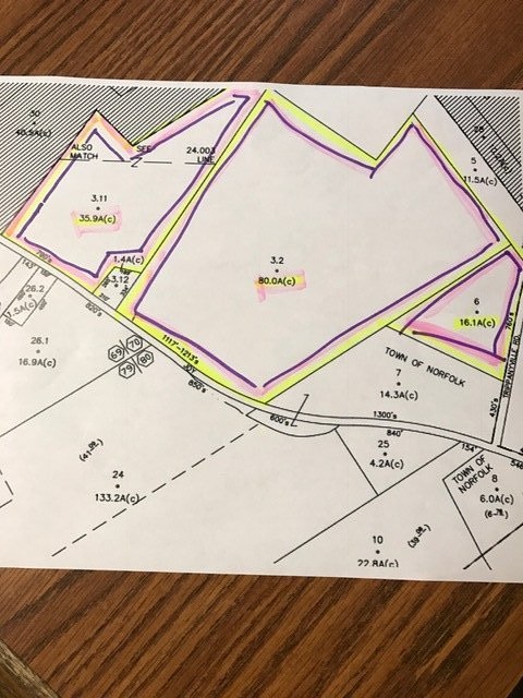 000 Trippanyville Rd, Norfolk, NY 13667