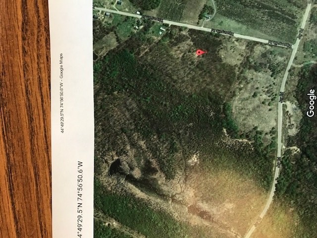 000 Trippanyville Rd, Norfolk, NY 13667