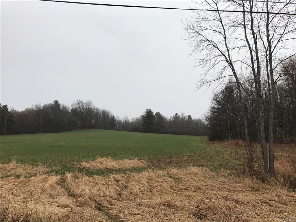 0 Morgan Street, Theresa, NY 13691