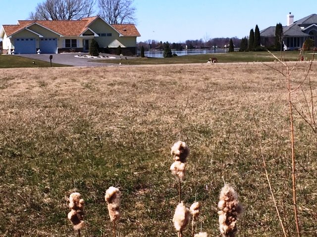 11 clark avenue, Waddington, NY 13694
