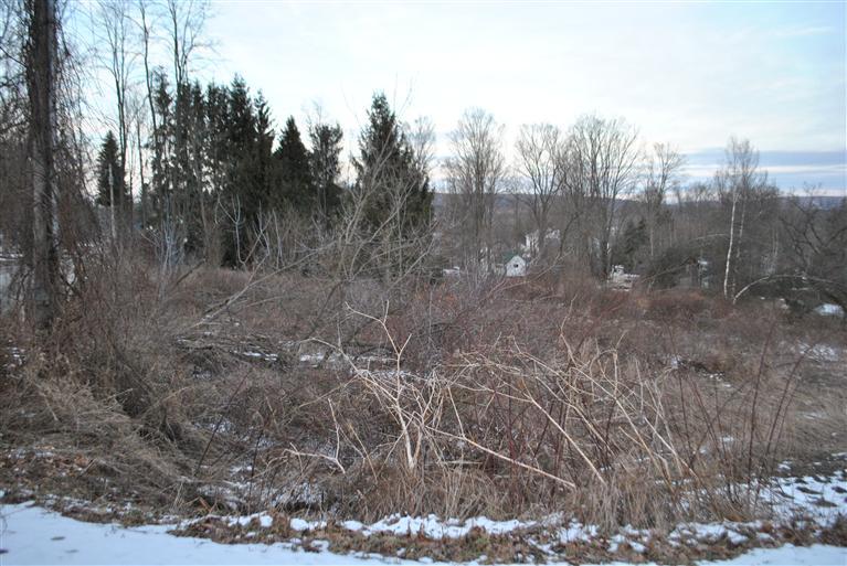 0 High Street, Afton, NY 13730